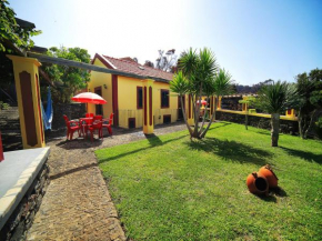 Studio with sea view furnished garden and wifi at Ponta do Pargo